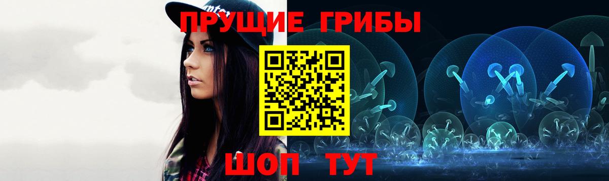 купить  сайты  Псилоцибиновые грибы MAGIC MUSHROOMS  Вход с VPN  Морозовск 